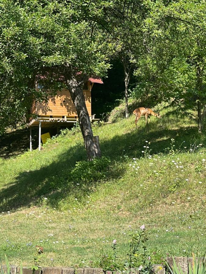 Hotel Sun House Tryavna Esterno foto